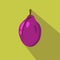 Plum flat icon