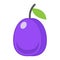 Plum flat icon, fruit and diet, vector graphics