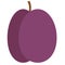 Plum flat illustration on white