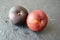 A plum is a fruit of some species in prunus sung. Prunus. Flesh is firm and juicy. waxy surface The plum is a drupe.