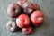 A plum is a fruit of some species in prunus sung. Prunus. Flesh is firm and juicy. waxy surface The plum is a drupe.