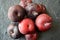 A plum is a fruit of some species in prunus sung. Prunus. Flesh is firm and juicy. waxy surface The plum is a drupe.