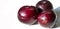 Plum Fruit tree with small juicy edible fruits, which have a large bone,. an oval fleshy fruit that is purple, reddish, or yellow