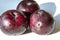 Plum Fruit tree with small juicy edible fruits, which have a large bone,. an oval fleshy fruit that is purple, reddish, or yellow