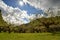 Plum garden under the blue sky