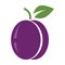 Plum icon in flat design