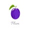 Plum icon with title