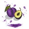 Plum illustration. Ink sketch of hand drawn plum, isolated on white background with shadows.