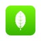 Plum leaf icon digital green
