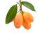 Plum marian fruit on white background