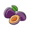 plum purple slice bunch color icon vector illustration