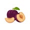 Plum. Ripe purple plum. Fresh sweet plum. Ripe juicy plum berry in the section. Vegetarian organic product. Vector
