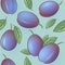 Plum seamless pattern. Plum fruits with leaves. Engraved style vintage botanical background.