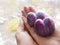 Plum in the shape of a heart in the women`s hands.