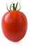 Plum tomato