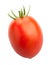 Plum tomato