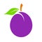 Plum vector icon