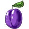 Plum vector icon illustration ripe fruit prune isolated