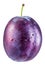 Plum with water drops. File contains clipping path