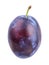 Plum on white background