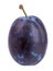 Plum on white background