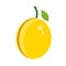 Plum yellow healthy ripe summer plant. Green tasty diet vector icon. Fruit food illustration organic berry