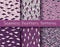Plumage patterns set. Violet, white, dark. Colorful illustration of seamless feathers patterns in modern hand drawn