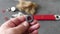 A plumber holds a black water seal - close-up water seal.close-up water seal,close-up water seal