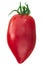 Plumelike heirloom tomato Solanum lycopersicum fruit, Korean elongated or Koreiskiy prodolgovaty variety, isolated