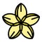 Plumeria bloom icon color outline vector