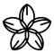 Plumeria bloom icon, outline style