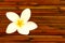 Plumeria flower on bamboo