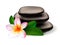 Plumeria flower leaves and spa massage stone