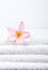 Plumeria Flower On White Towel