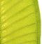 Plumeria Leaf texture