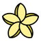 Plumeria wedding icon color outline vector