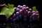 Plump Bunch grapes. Generate Ai