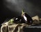 Plump, purple eggplants, on natural fabric. Dark background, still life with vegetables
