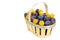 Plums basket isolated