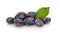 Plums fruit raw with green leaf white isolated