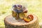 Plums in glass jar on wooden stump in garden on sunny day
