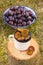 Plums in metallic mug on wooden stump in garden on sunny day