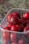 Plums in a plastic carton container on a grunge background.