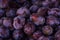 Plums Purple Fruit Bunch Market Food Texture Background