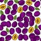 Plums on white fruit seamless pattern