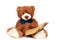 Plush brown bear reading book, back to school