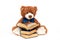 Plush brown bear reading book, back to school