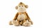 Plush brown monkey doll toy isolated on white background