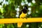 Plush-crested jay bird