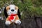 Plush dog is hanging on a pine branch